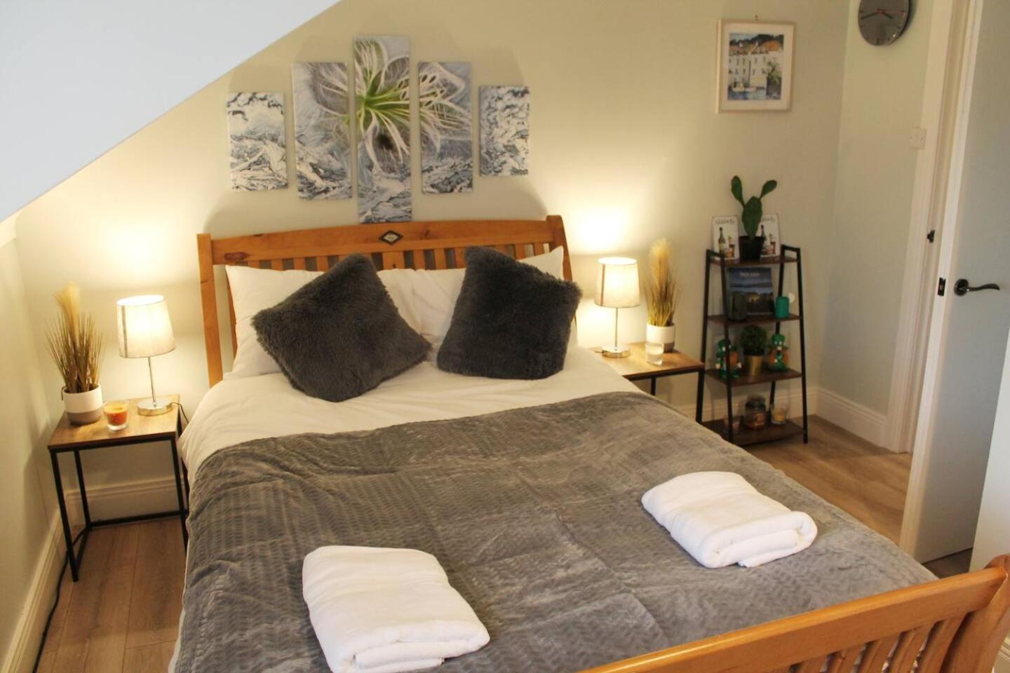 ベルファスト 4 Bed Boutique House Lisburn Roadヴィラ エクステリア 写真